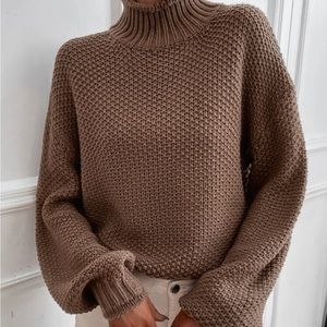 Knit Turtleneck Sweater